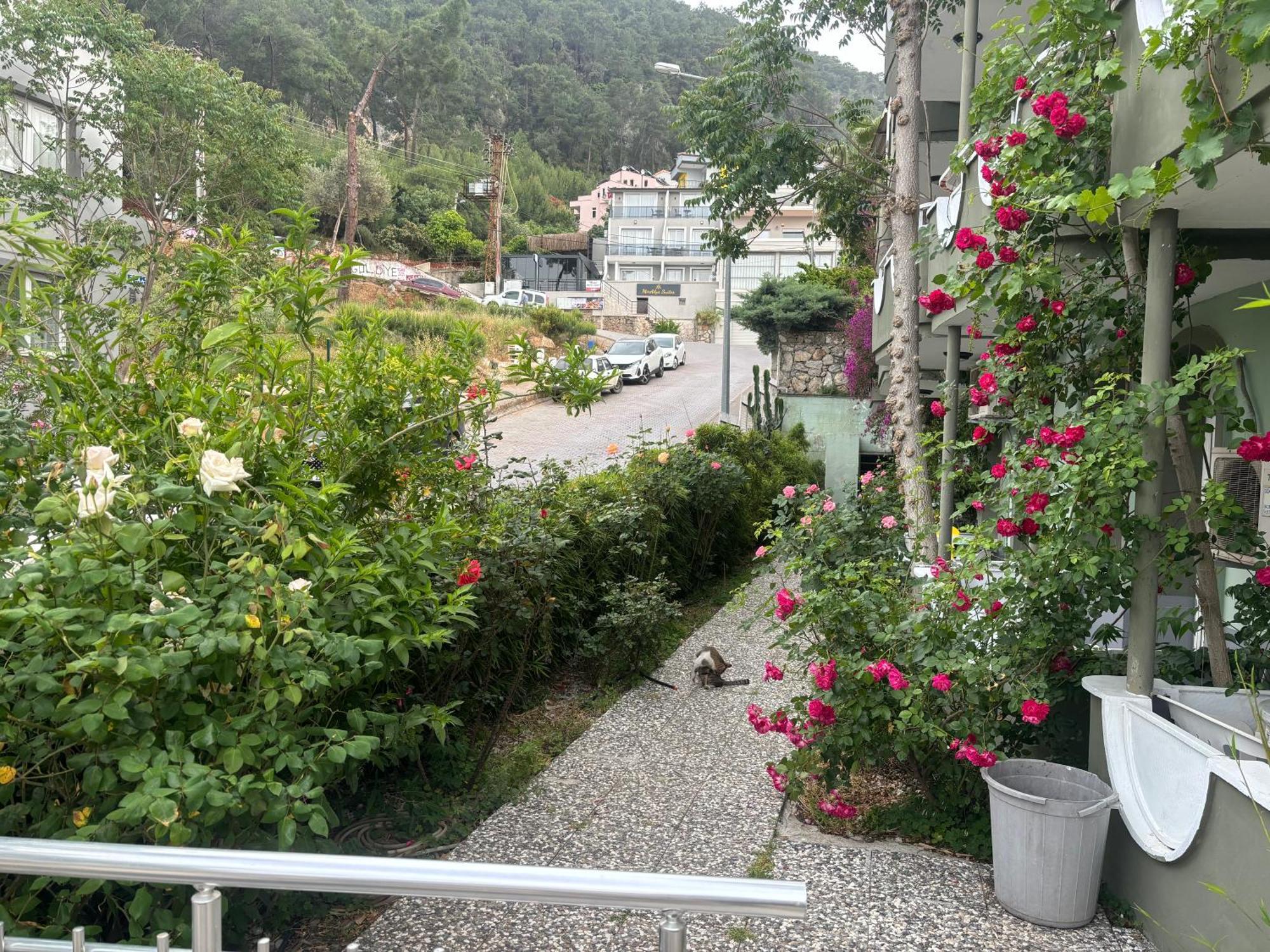 Ideal Pension Fethiye Exteriér fotografie
